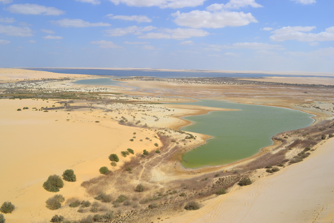 Private Day Tour: Fayoum Oasis from Cairo