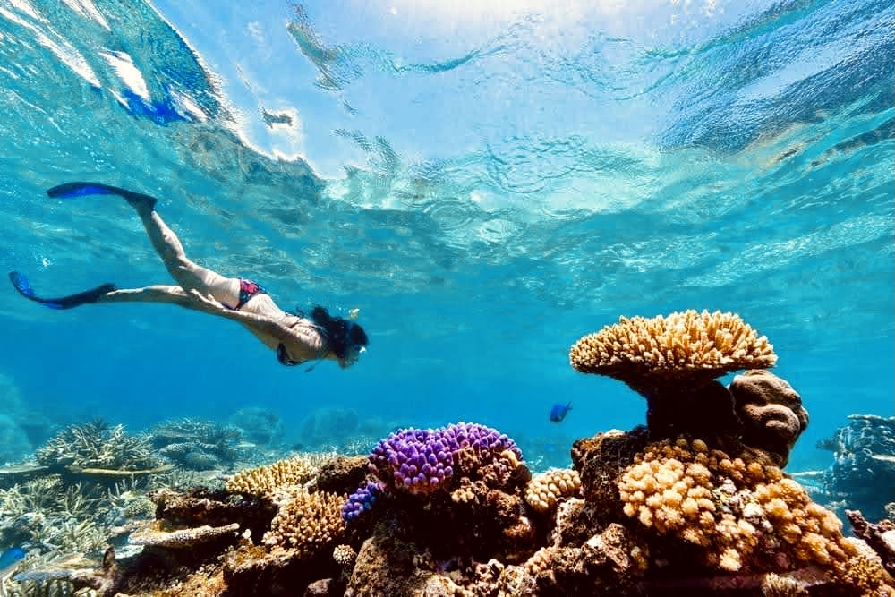 Snorkeling Tour from Hurghada