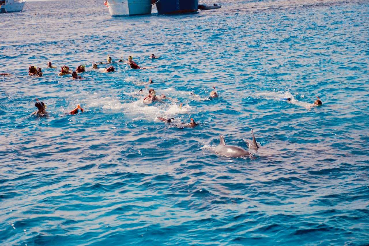 Snorkeling Tour in Dolphin House from Hurghada